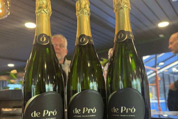 Prijzen Gorilla Padel 2025