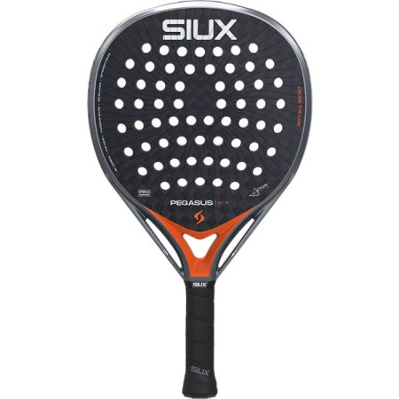 Siux Pegasus Pro 2026