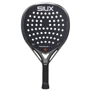 Siux Pegasus Pro 2026