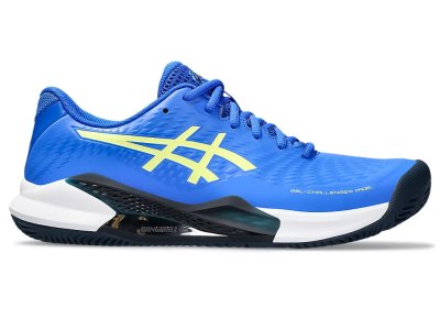 Asics Gel-Challenger 14 Padel Padelschoenen Heren 42 - Blauw dessin